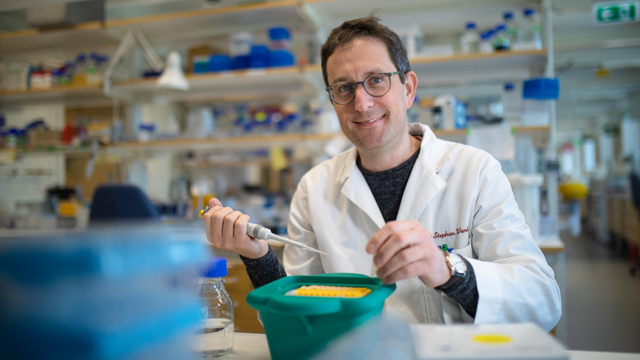 Umeå Plant Science Centre, växtforskning Stephan Wenkel