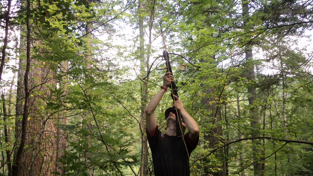 En man i en tät lövskog med en armborst.