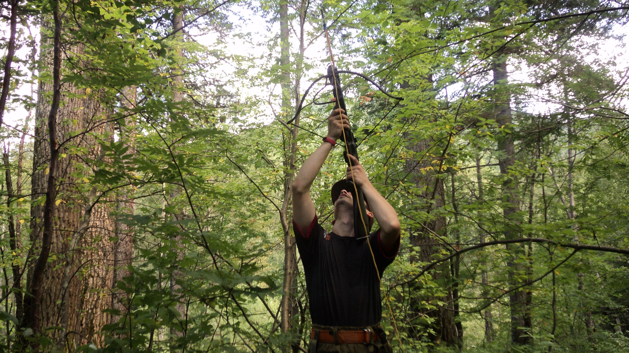 En man i en tät lövskog med en armborst.