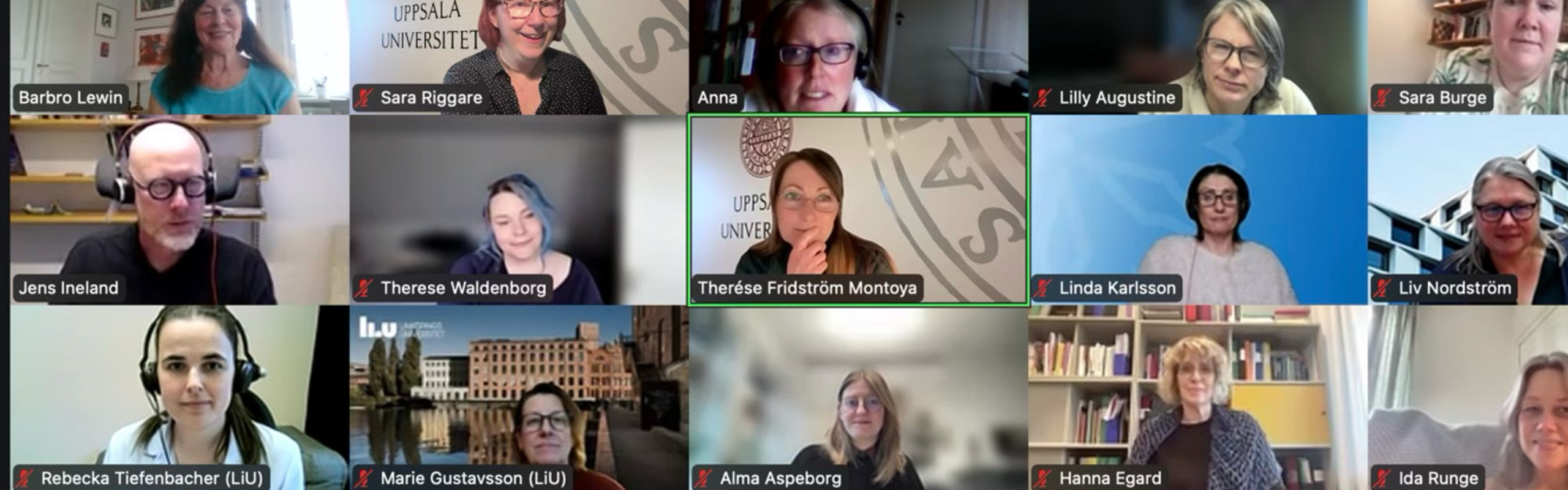 Funktionshinderforskare vid Umeå universitet och Uppsala universitet.