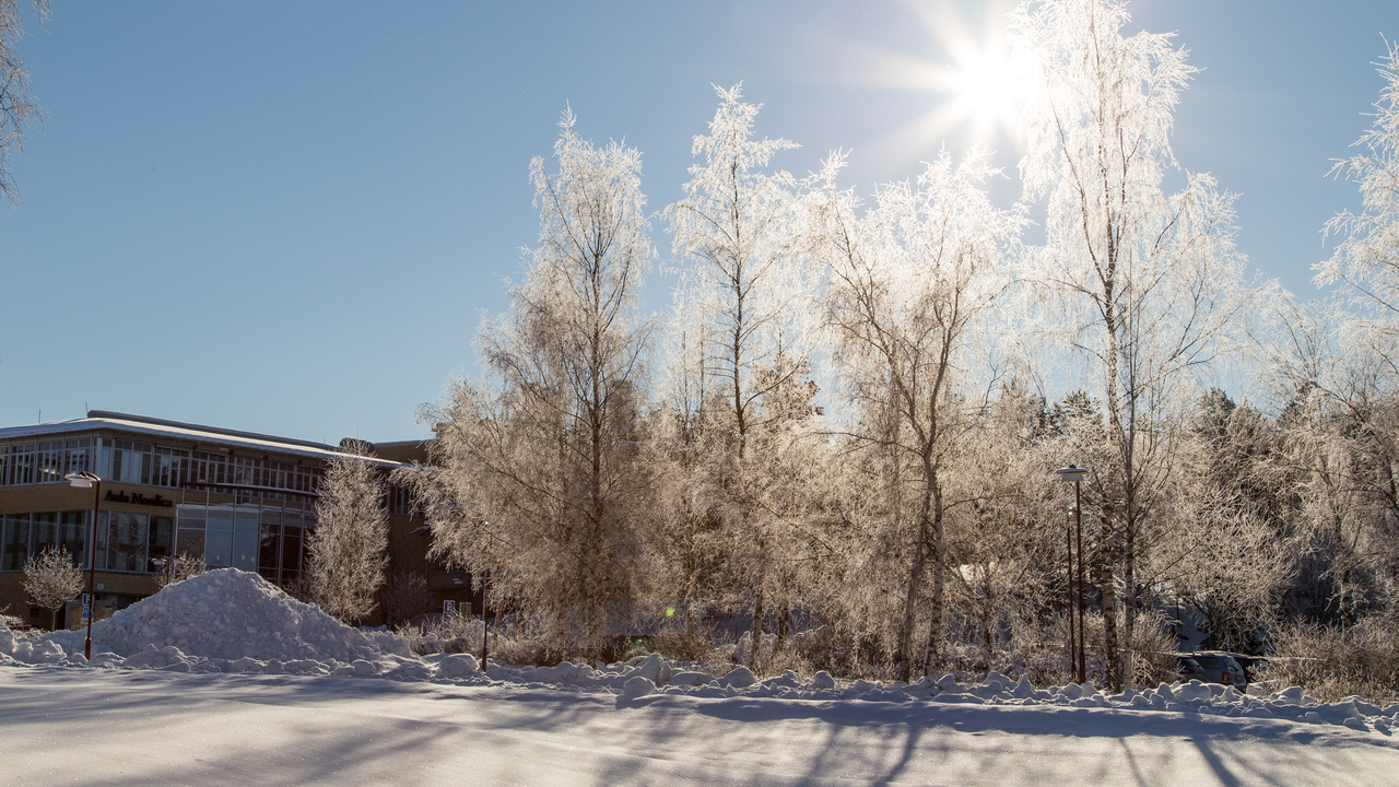 Vårvinter på campus.