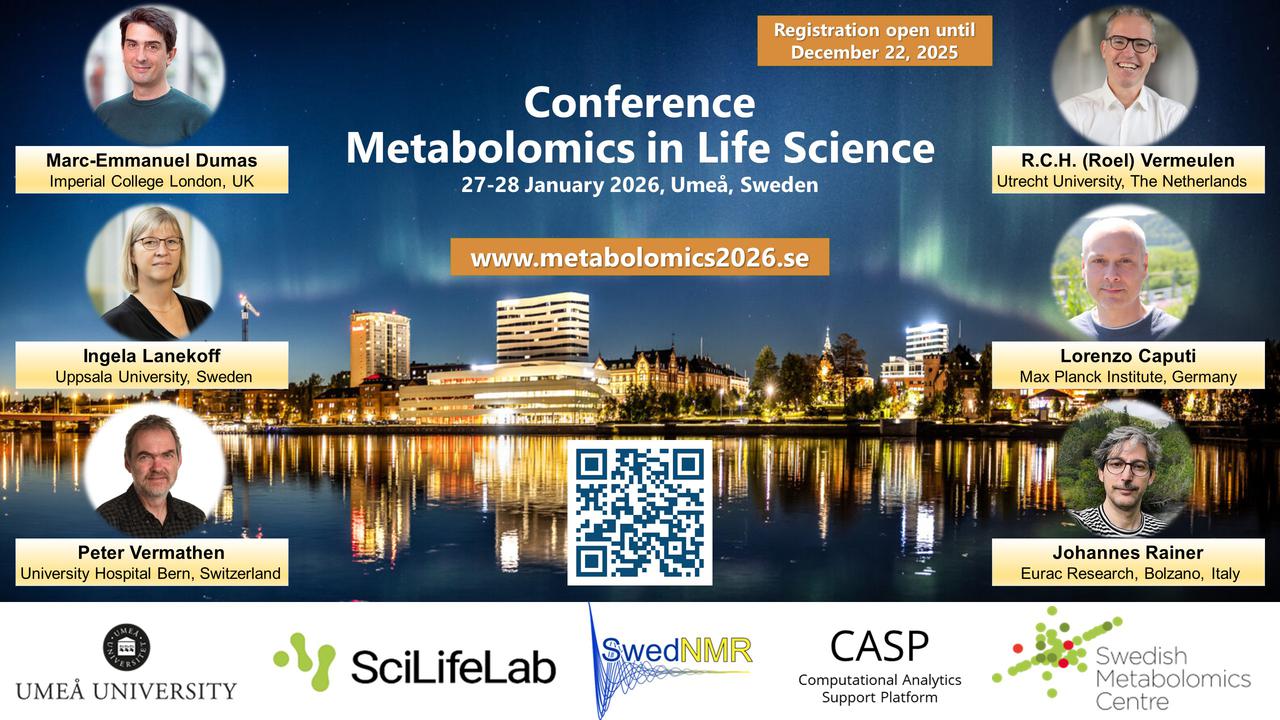 Flyer of the scientific conference  with  Umeå image in the background