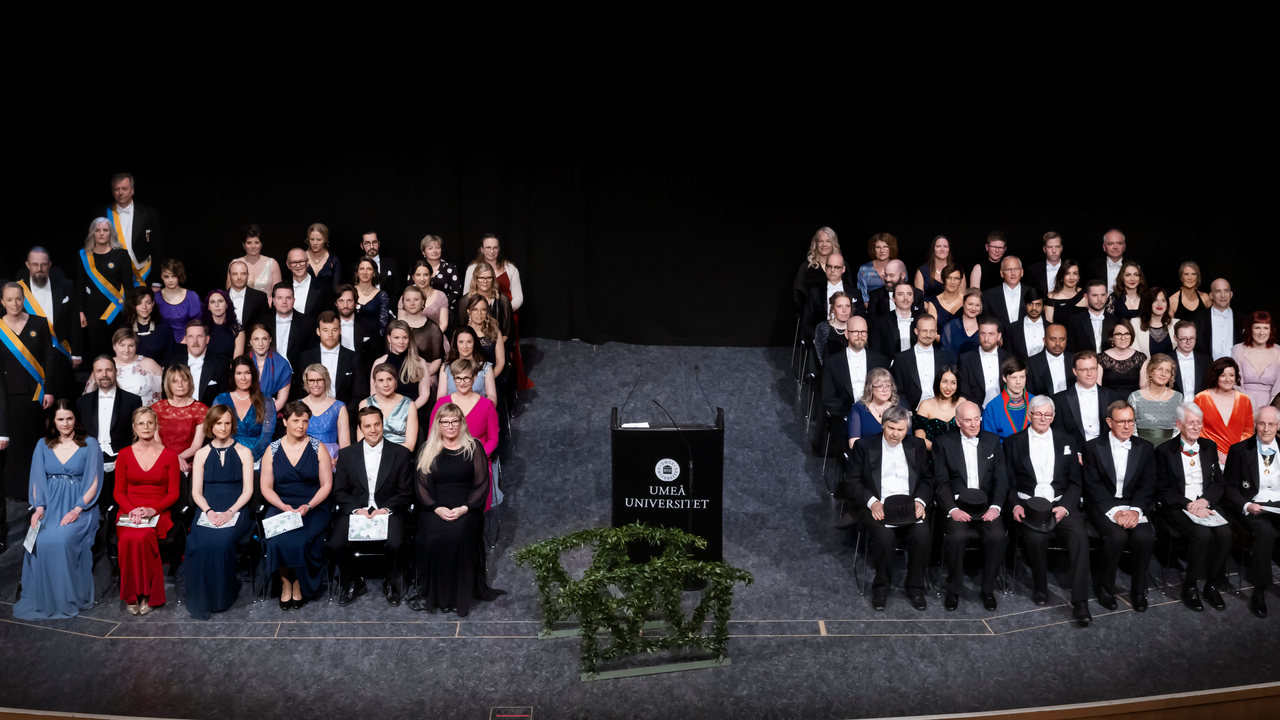 En grön bild med blommor på. 