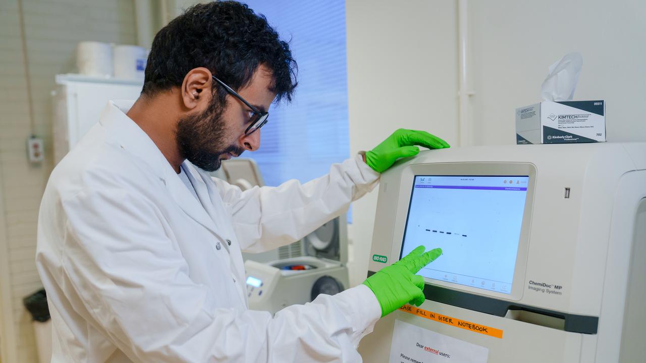 Harshit MalhotraPostdoctoral position at Department of Chemistry