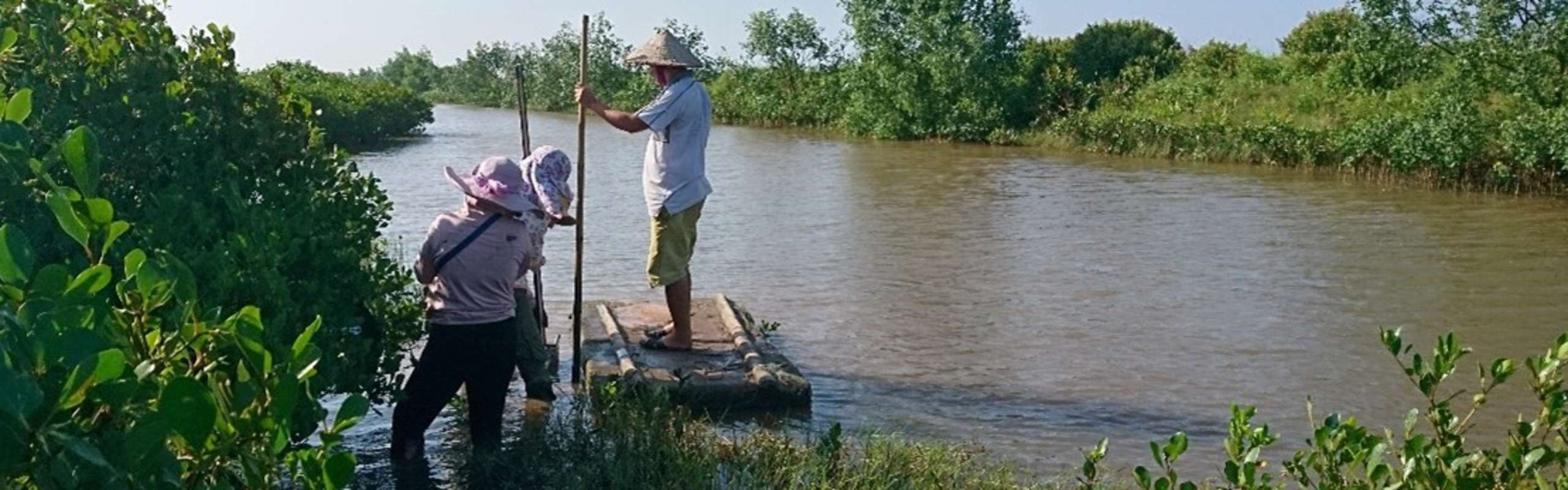 People at mangrove forests located in shrimp farm aquaculture in northern Vietnam.