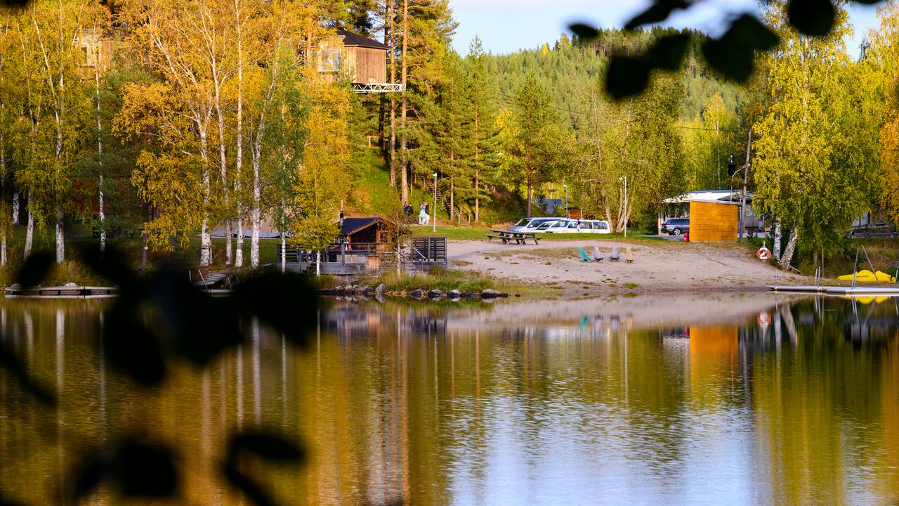 A body of water surrounded by trees.