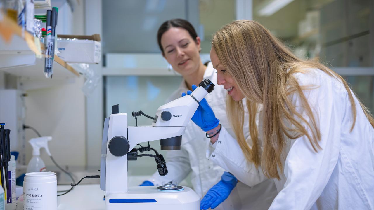 Two women in lab coats look through a microscope