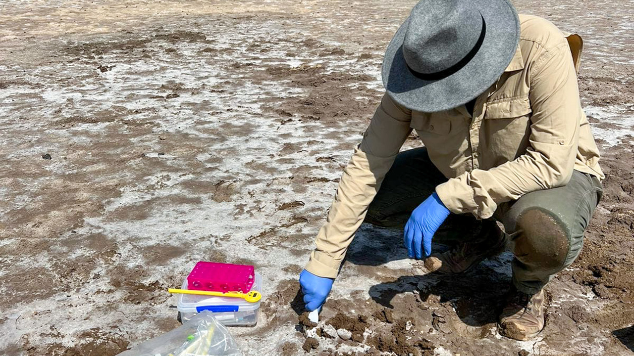 Alef dos Santos are collecting samples of the crusty salt layer from the bottom of the volcanic Al Wahbah crater. From the samples he detected 48 strains of bacteria living in the extreme environment.
