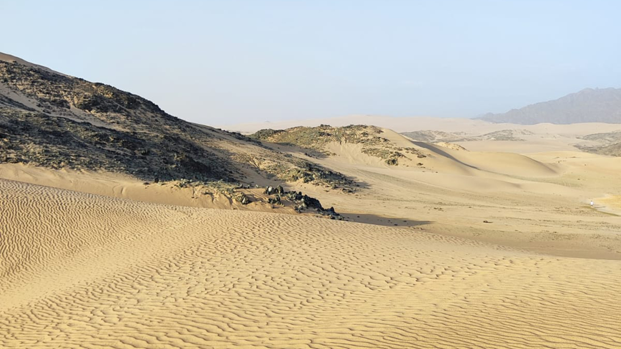 The desert surrounding the Al Wahbah crater in Saudi Arabia, reminiscent of the fictional sand planet Arrakis, is a hostile place for most organisms.