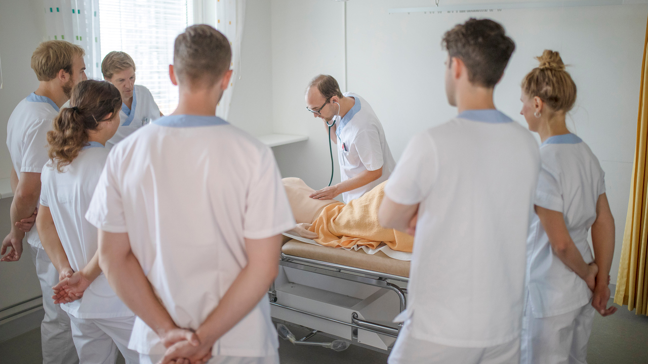 utbildningssituation vid läkarprogrammet