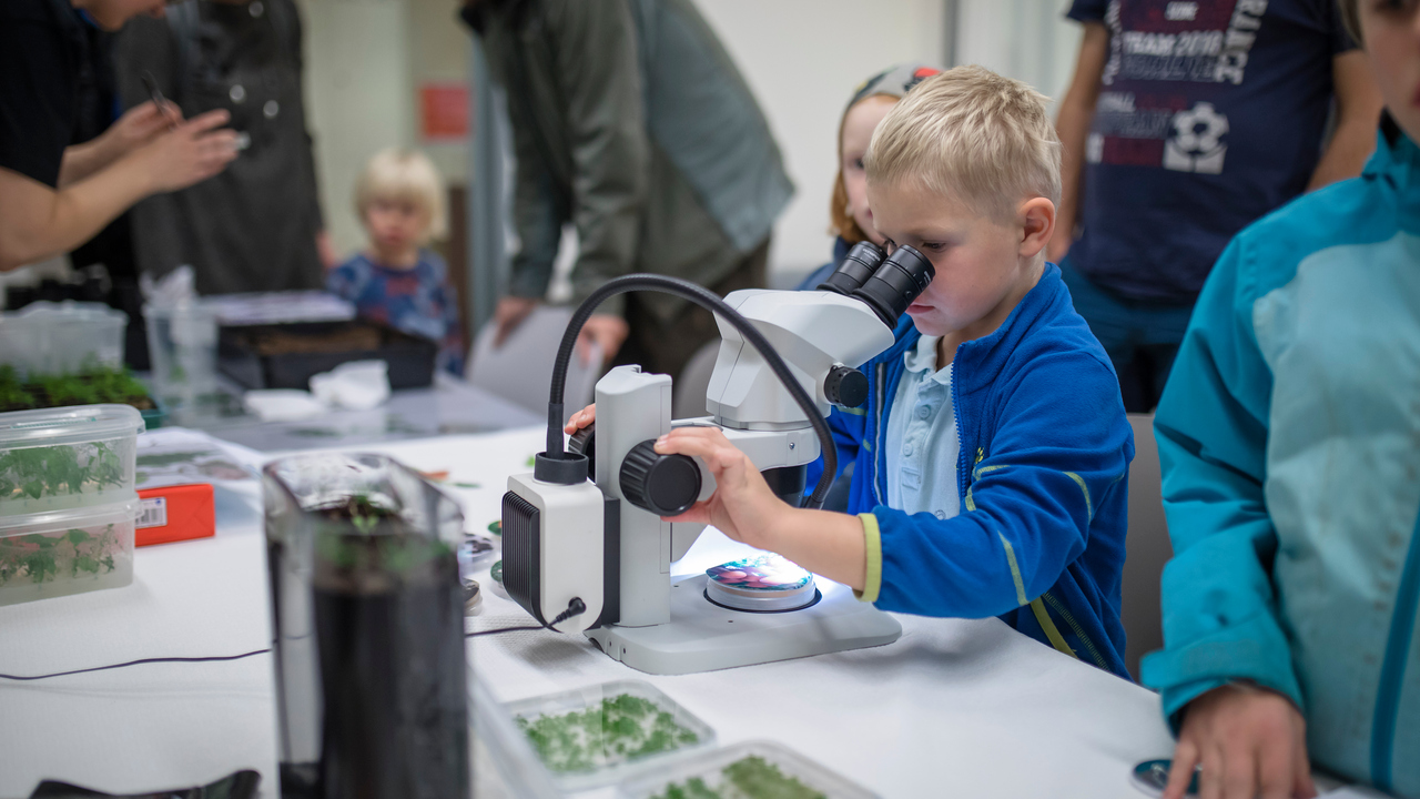 Pojke tittar i mikroskop under Forskarfredag 2018.