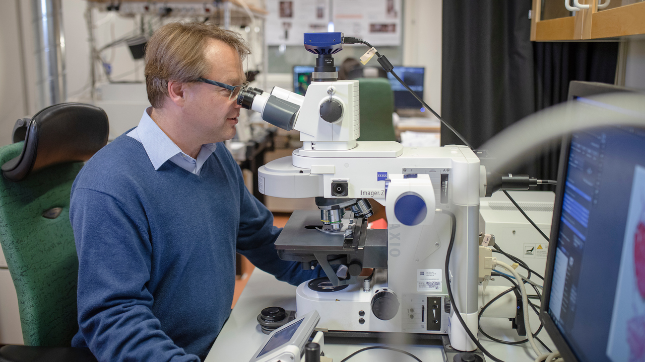 Porträtt på Oliver Billker, anknuten som professor till Institutionen för molekylärbiologi, Umeå universitet.