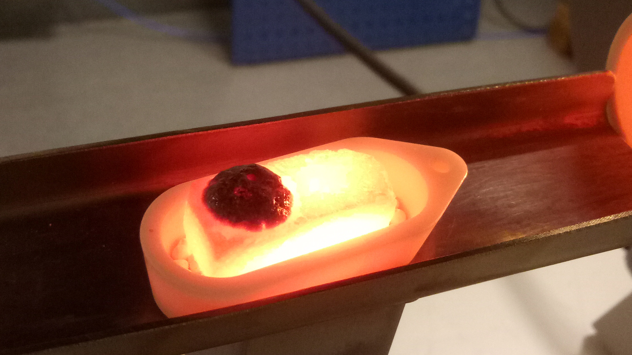 A specimen after burning in the lime kiln.