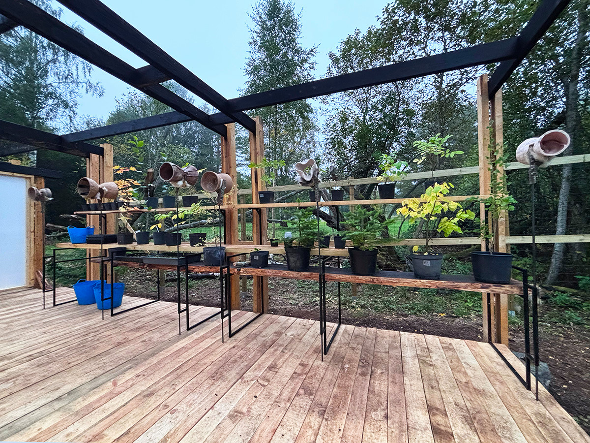 En träinstallation med hyllor som det står krukväxter på.