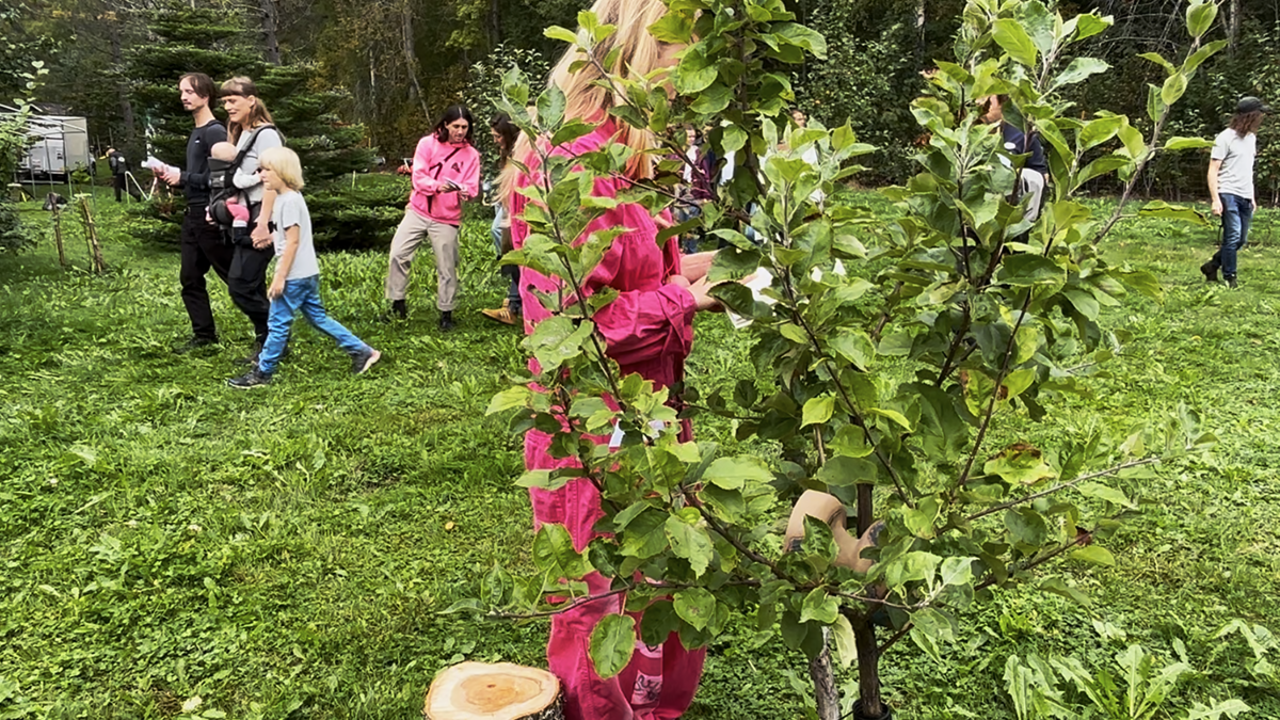 Människor går omkring på en grön gräsmatta. I föregrunden syns ett träd och en kvinna i rosa kläder.