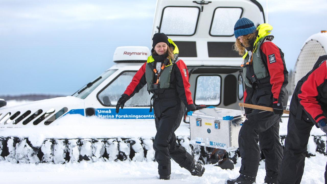 UMF Umeå marina forskningscentrum