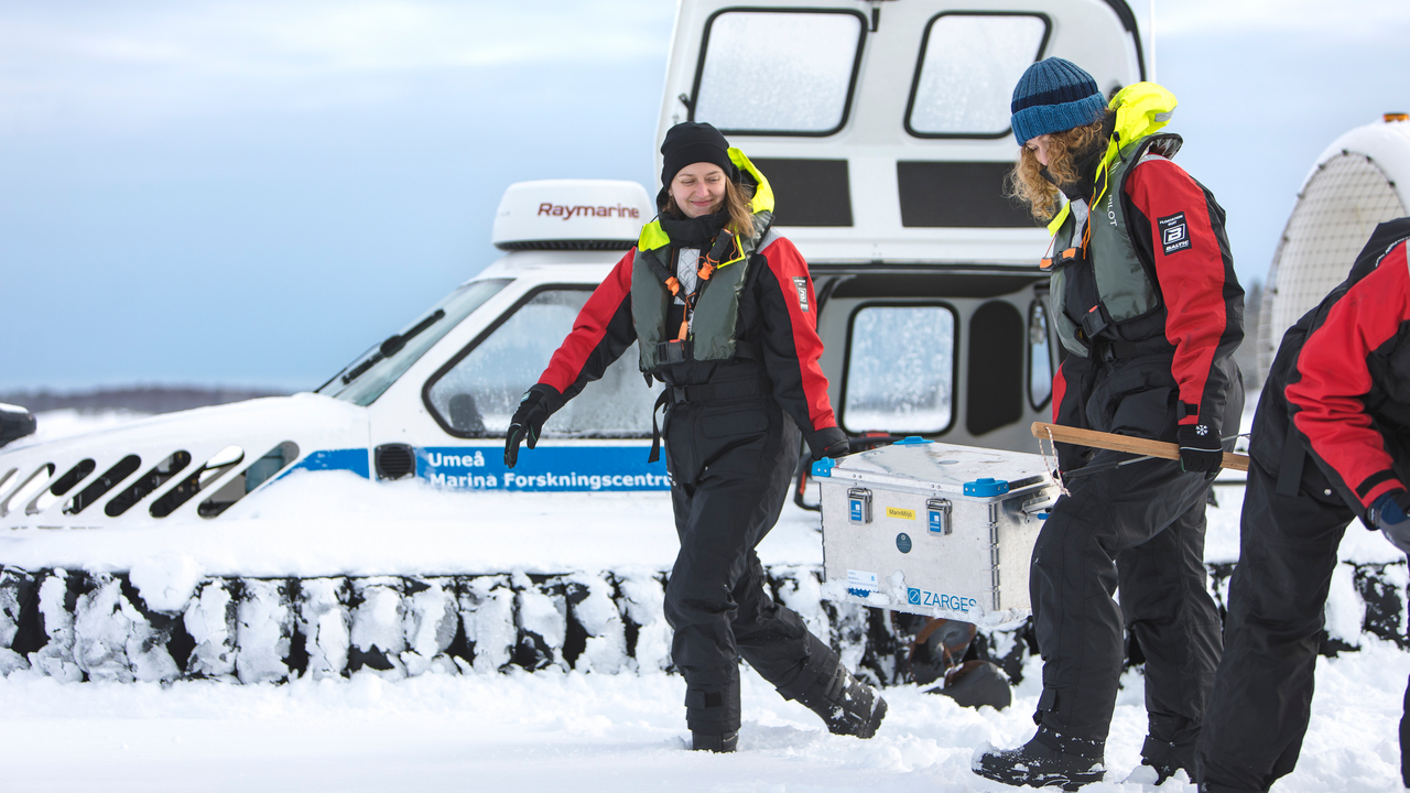 UMF Umeå marina forskningscentrum