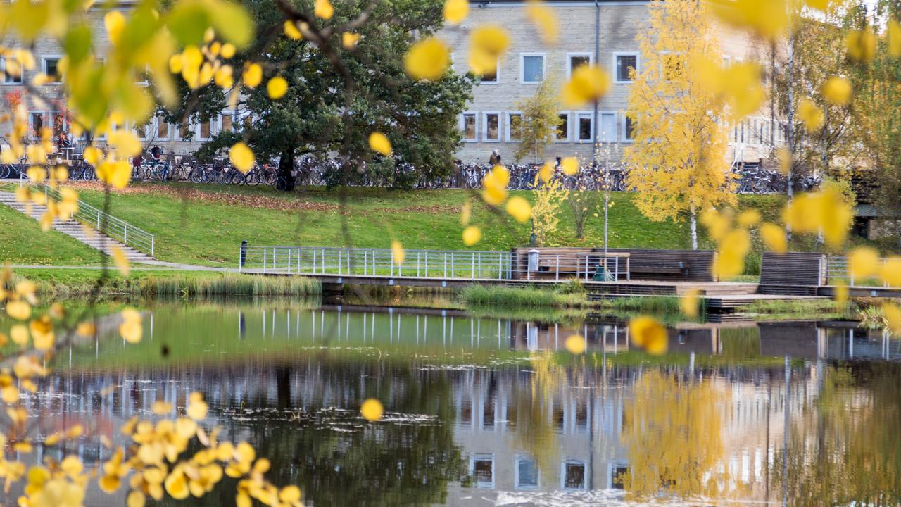 Höstfärger på campus. Vy över dammen mot Universitetsbiblioteket.