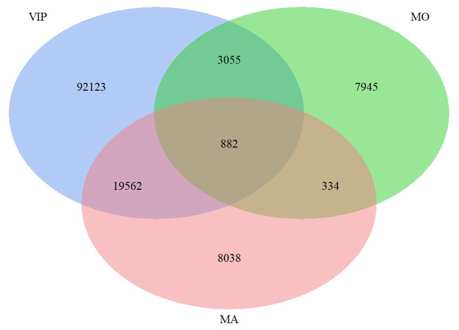 Överlapp för individer mellan de tre kohorterna i NSHDS.