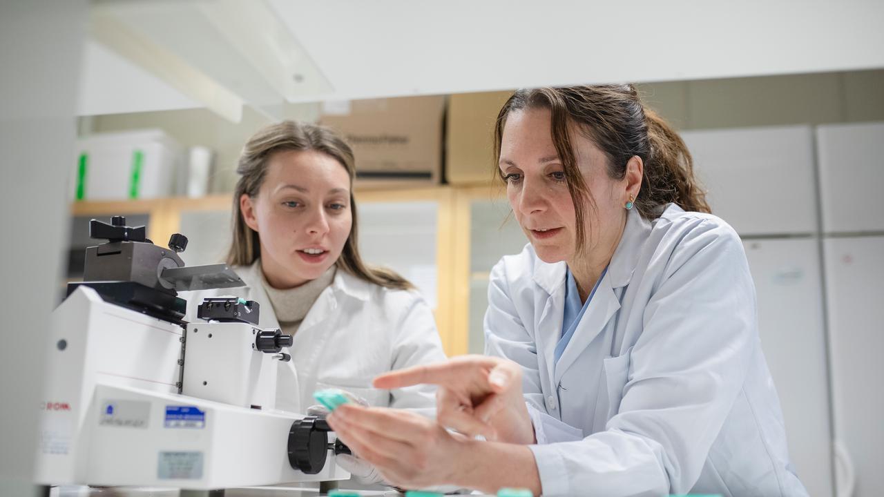 Kornelia Åman Grönlund och Karin Forsberg står vid en mikrotom på labbet. De tittar på en kloss med paraffininbäddad vävnad som Karin håller i och Kornelia snart ska snitta.