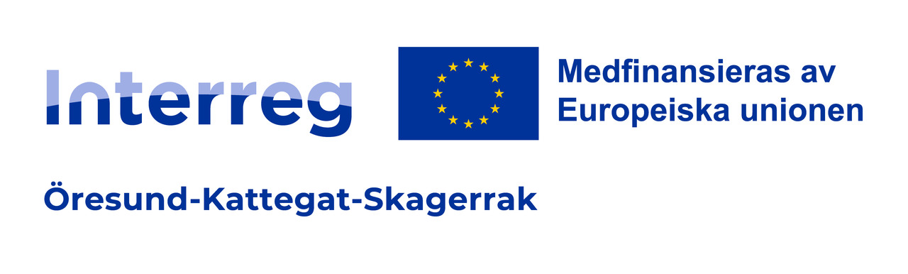Interreg logotype