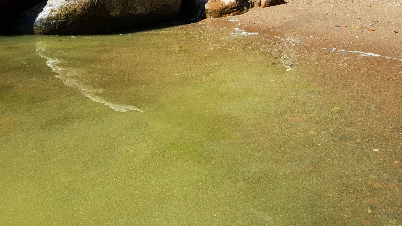 A beach with green water.