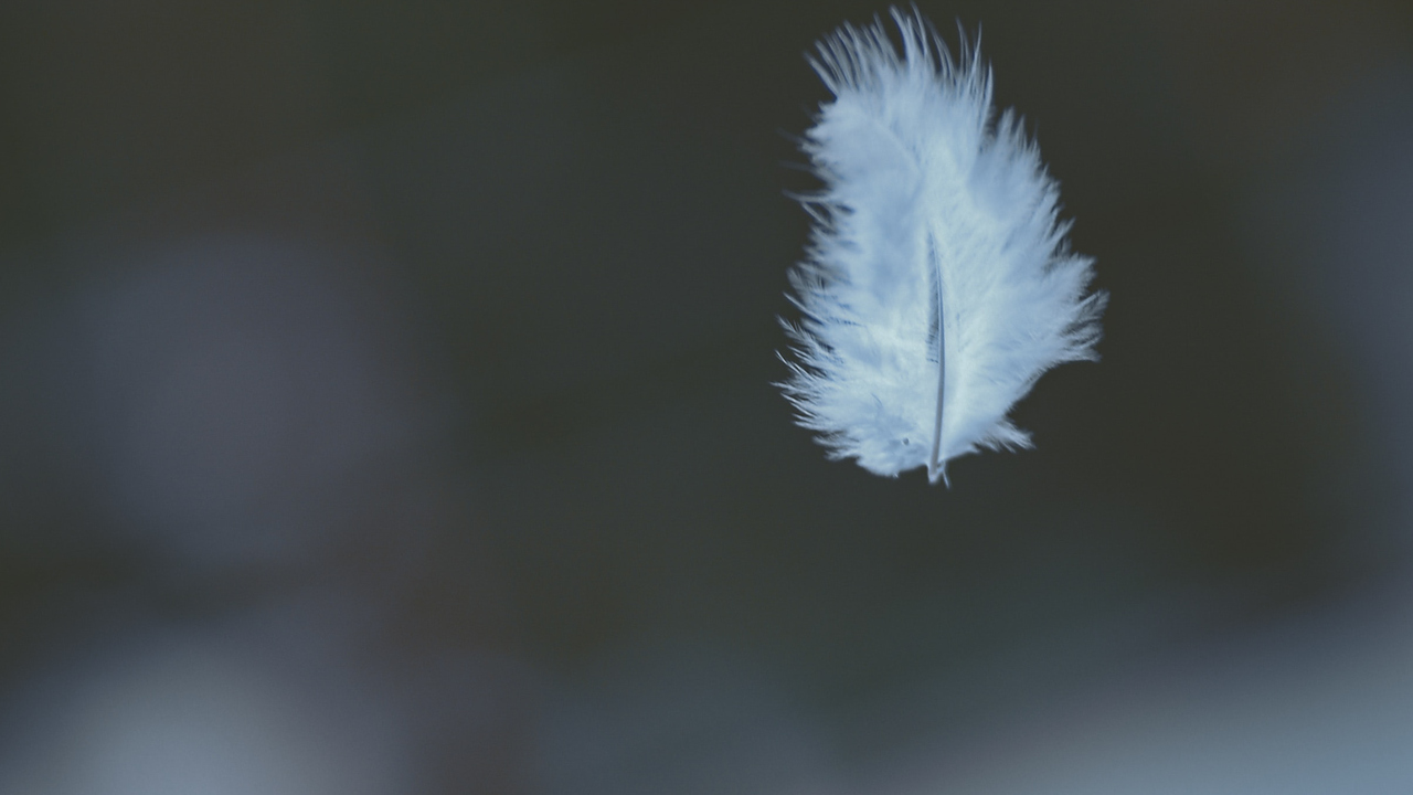 Film: Fred i Mellanöstern? Erfarenheter och utmaningar