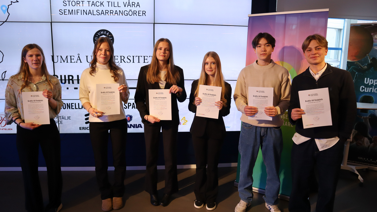 Bild på de sex finalisterna i tävlingen.