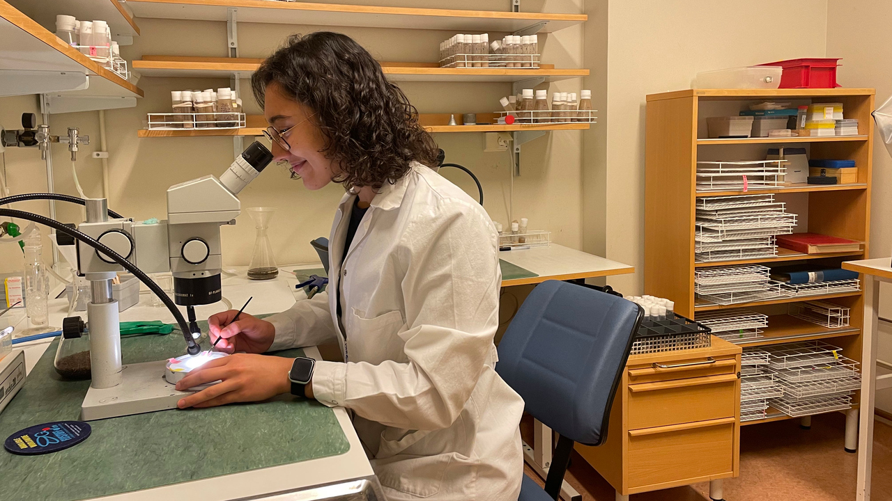 Bild på doktoranden Inés Hernandez Crego som sitter vid ett bord i labbet och tittar i ett mikroskop.