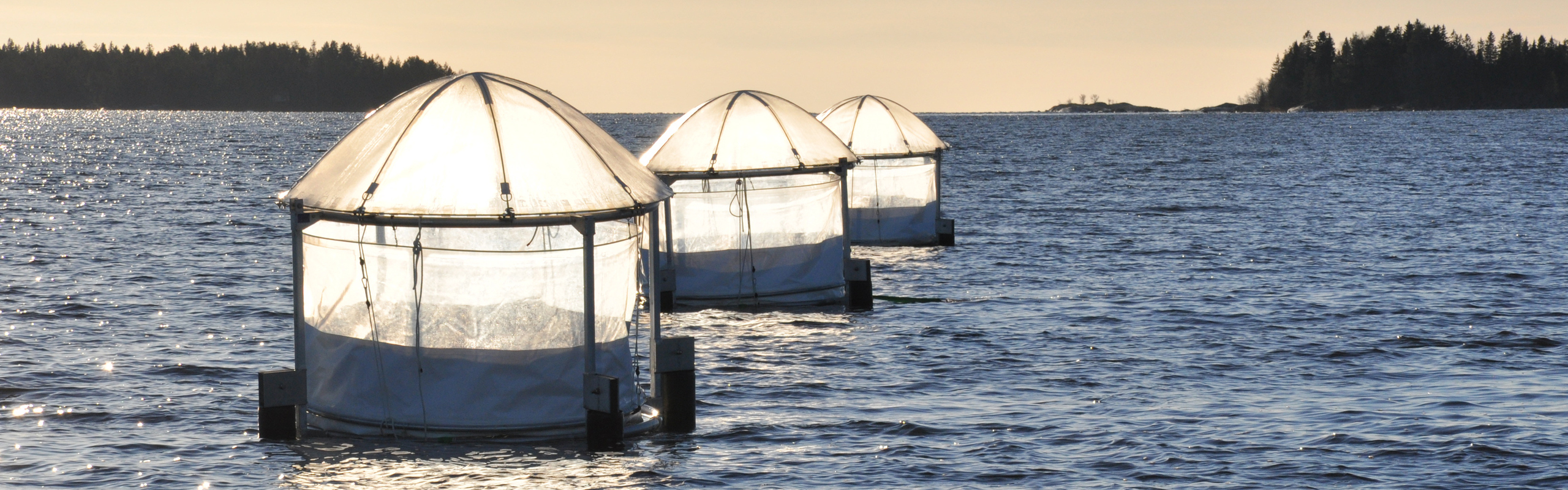 Ställningar med plastsäckar i som ligger placerade i havet.