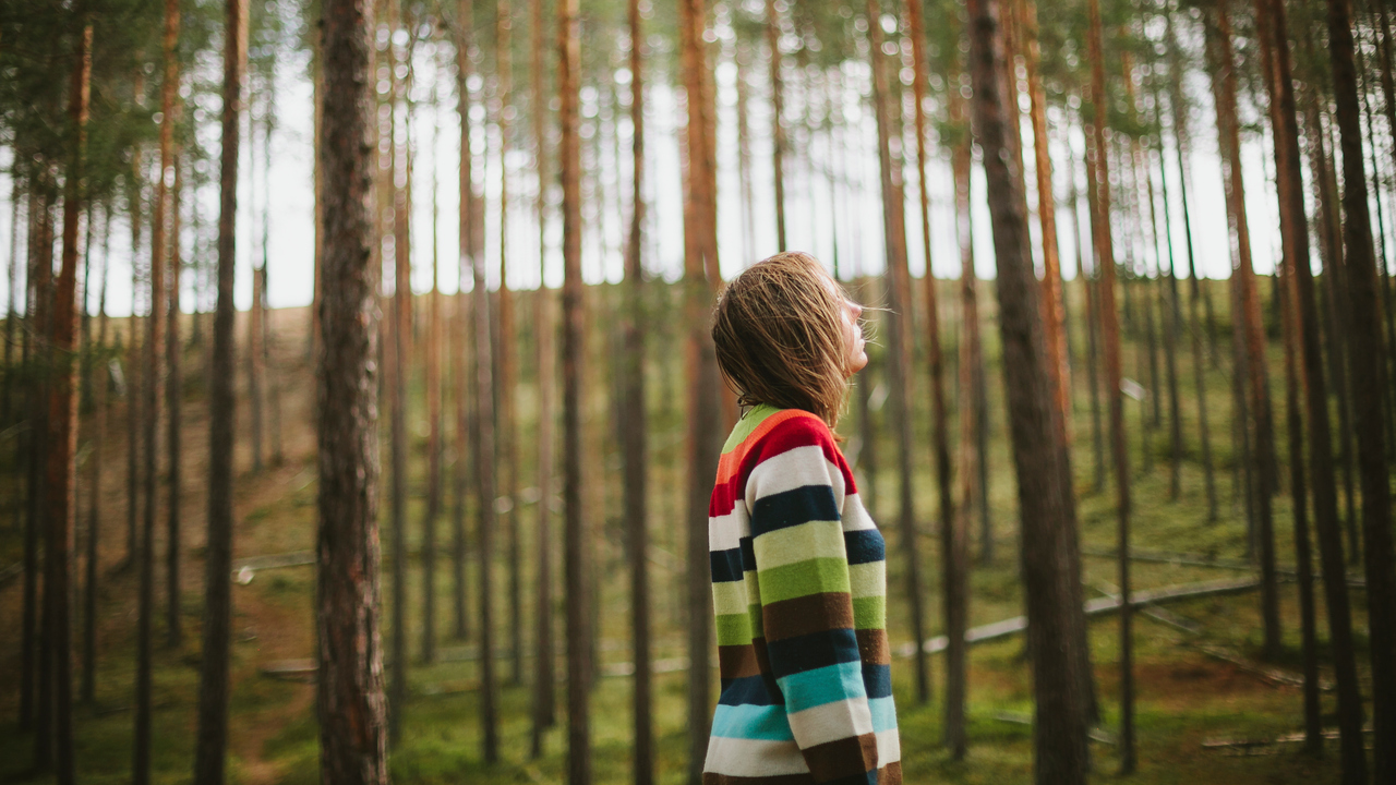 Person som står i en tallskog.