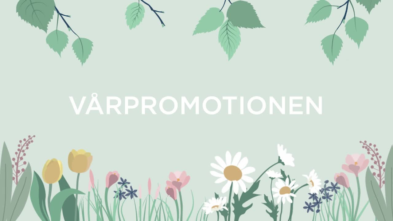 Film: En kort film om Vårpromotionen