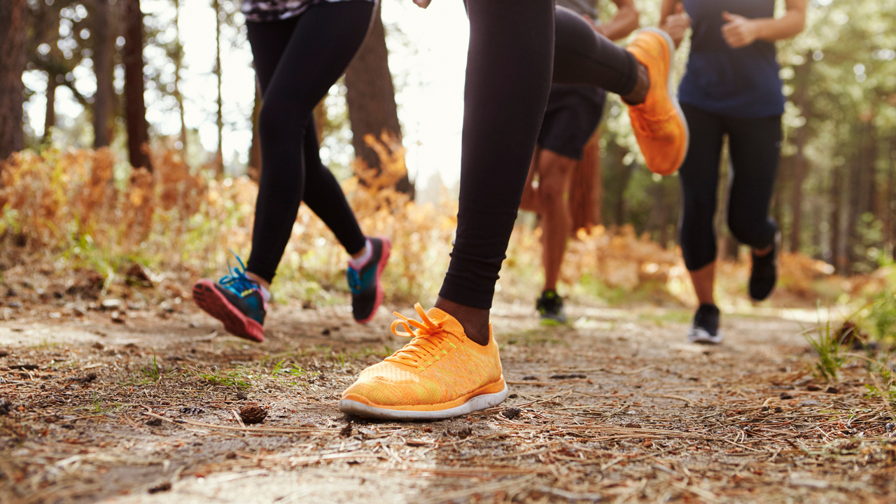 Grupp av motionärer som springer på en skogsväg.