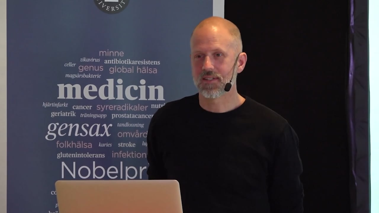 Film: Zebrafisken - en modell med muskler