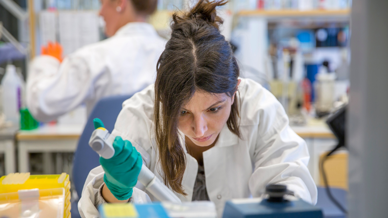 Mahsa Fallah i labbet