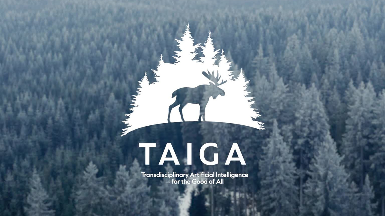 TAIGA logo over aerial view of a forest in winter