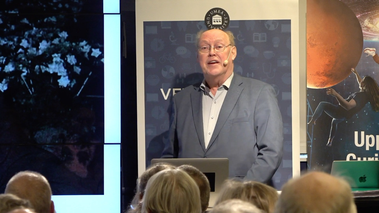 Film: Vilka möblerar det nordliga rummet?