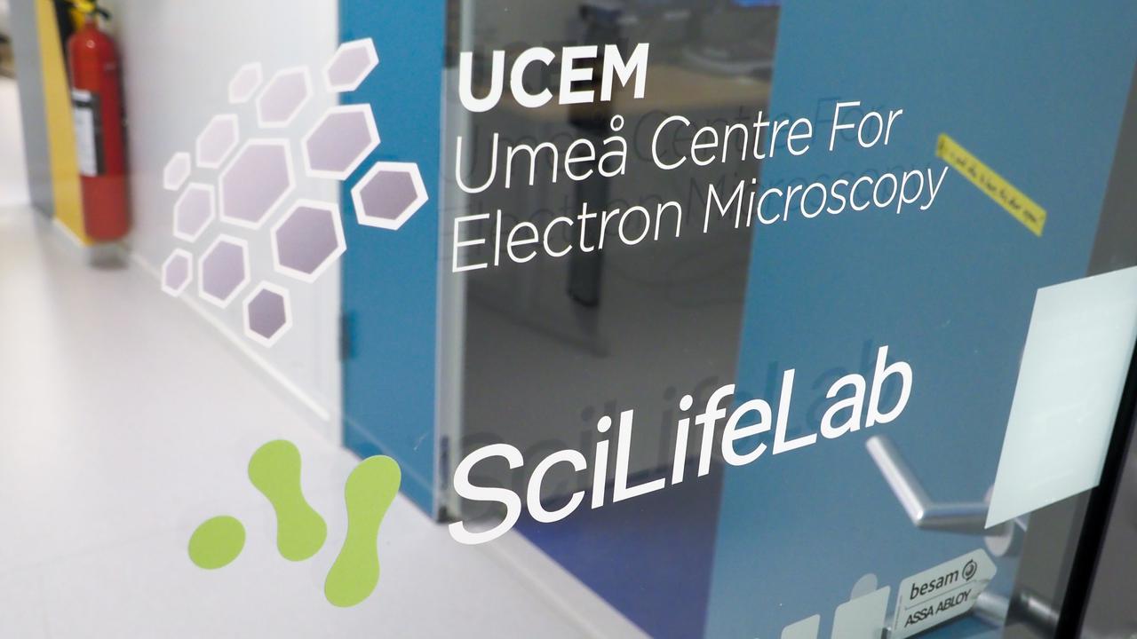 Film: Check out this movie to learn more about cryo-EM