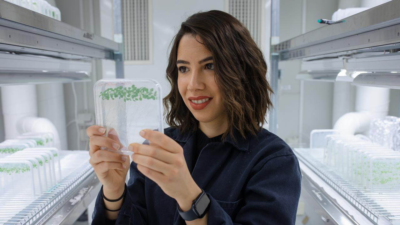 Laura Bacete med axellångt brunt hår och blå labbrock hålla en fyrkantik platta i handen med gröna plantor på som hon titter på. Bakom henne finns flera hyllor med plattor.