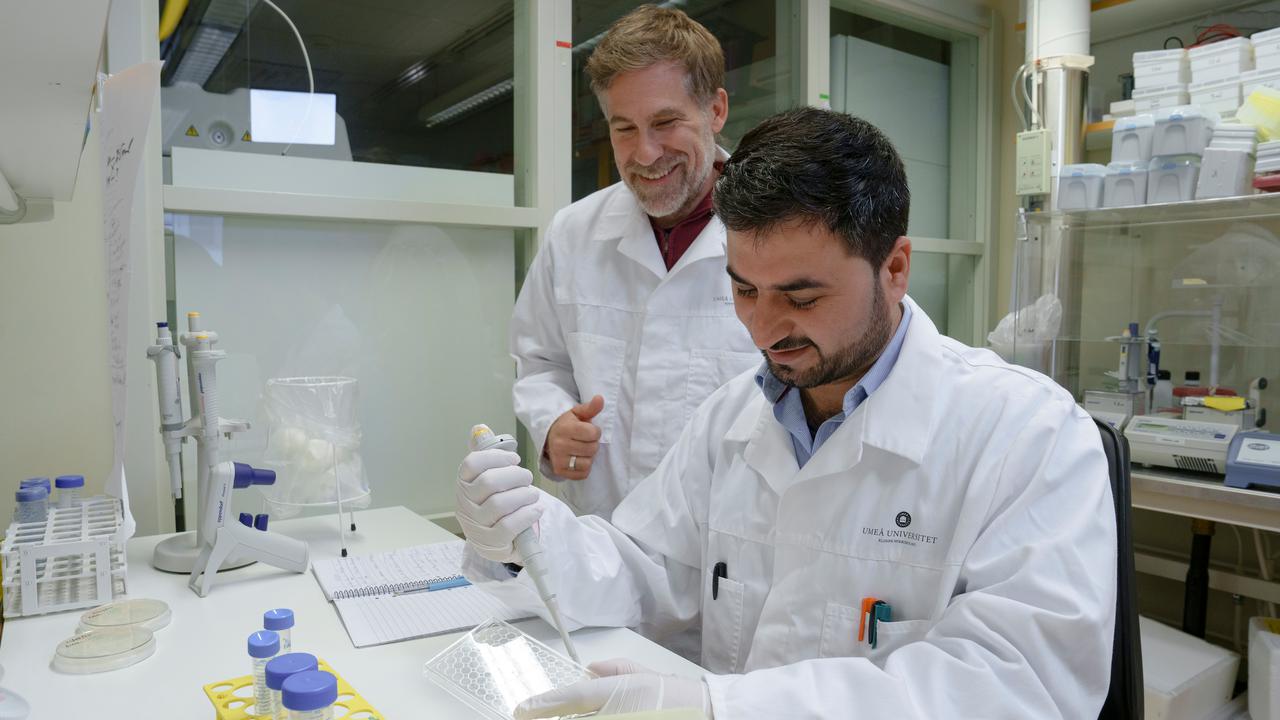 Nadeem UllahPostdoktor vid Institutionen för klinisk mikrobiologisamt Constantin UrbanProfessor vid Institutionen för klinisk mikrobiologiEnhet: Immunologi, Avdelningen för infektion och immunologi