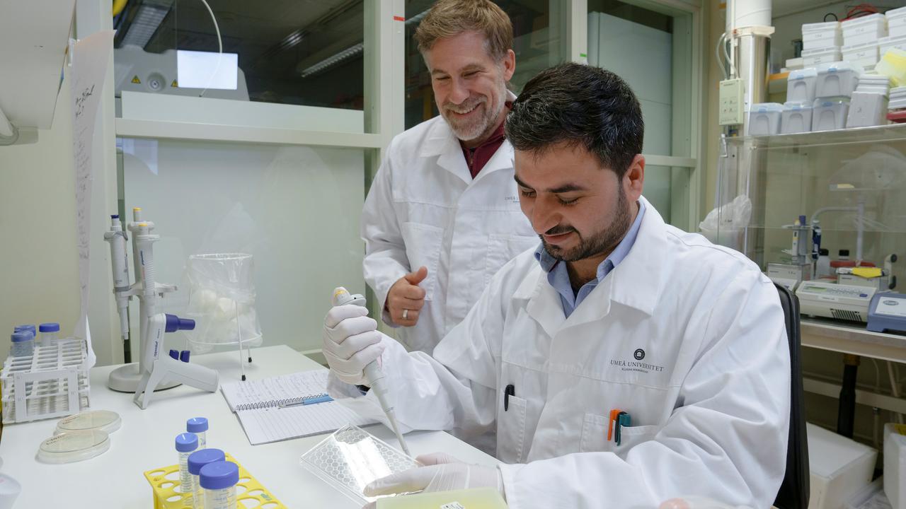 Nadeem UllahPostdoktor vid Institutionen för klinisk mikrobiologisamt Constantin UrbanProfessor vid Institutionen för klinisk mikrobiologiEnhet: Immunologi, Avdelningen för infektion och immunologi