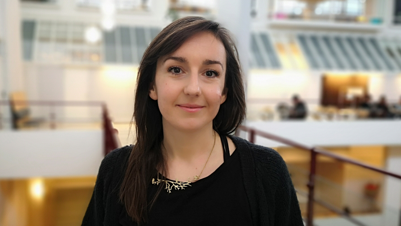 Irina Mancheva, Statsvetenskapliga insitutionen