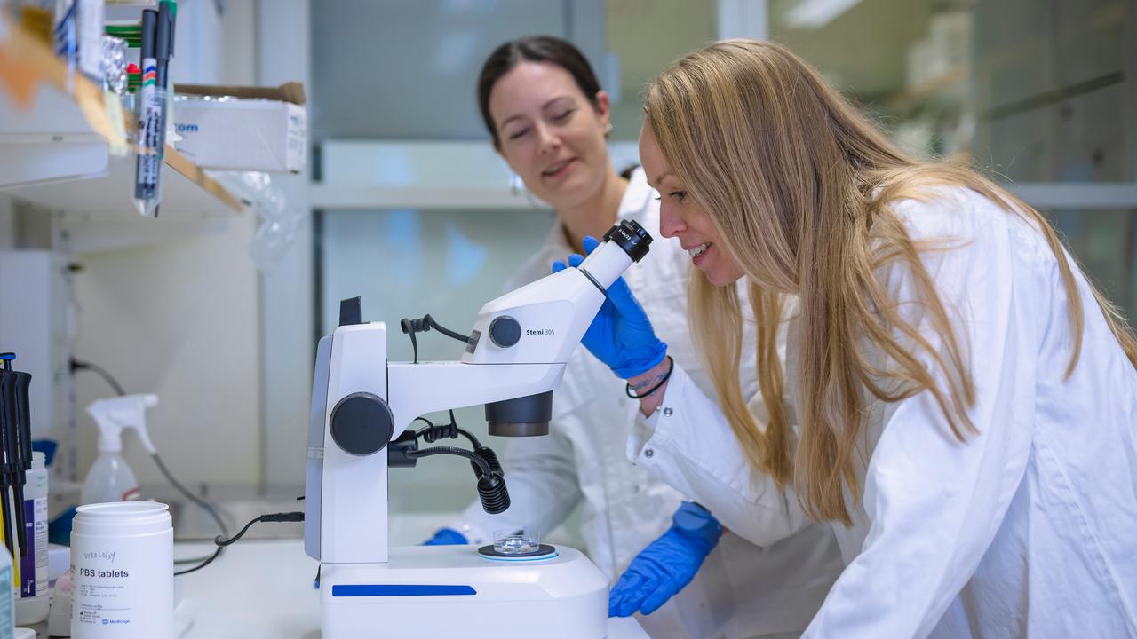 Two women in lab coats looking through a microscope.