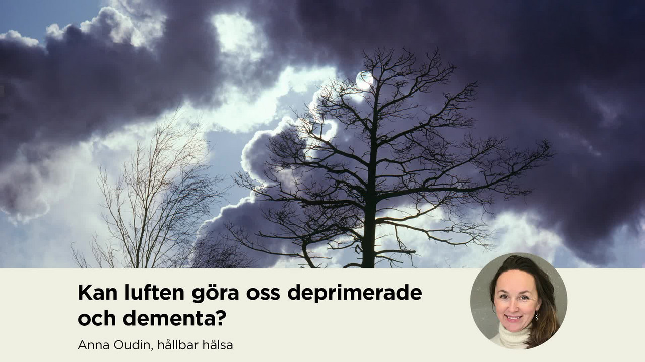 Film: Kan luften göra oss deprimerade och dementa?
