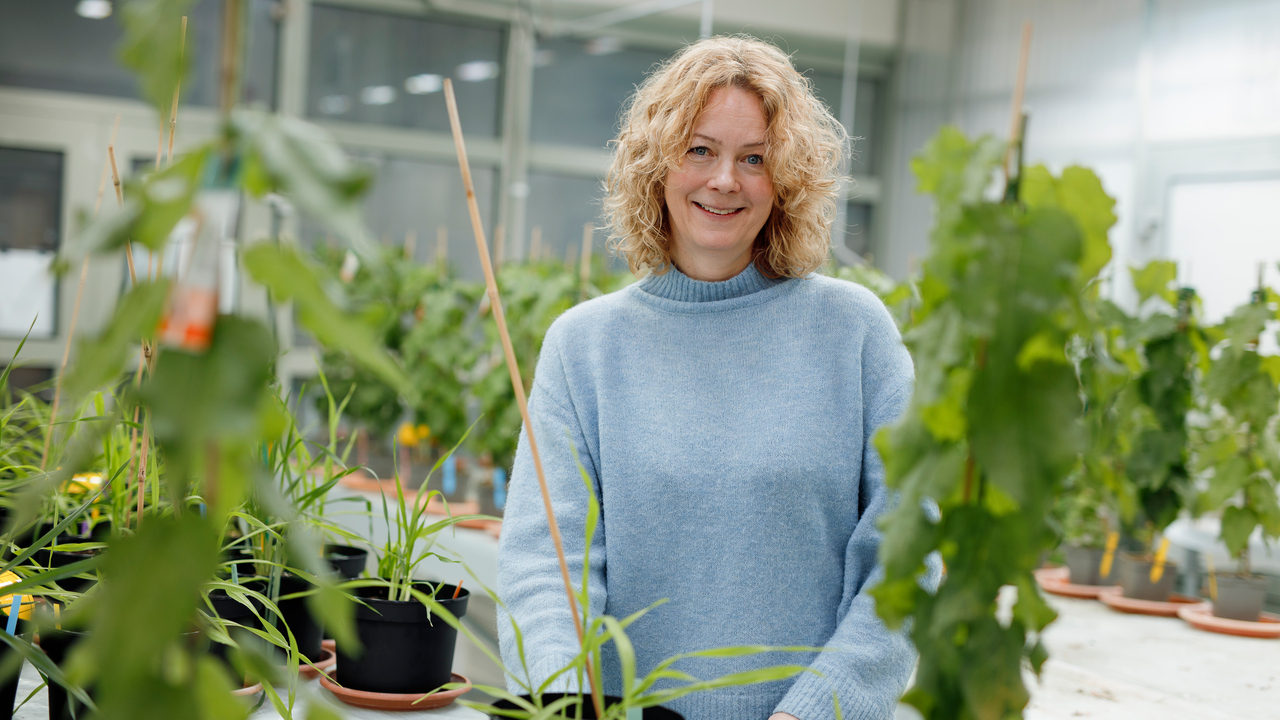 Åsa Strand,  professor vid Institutionen för fysiologisk botanik