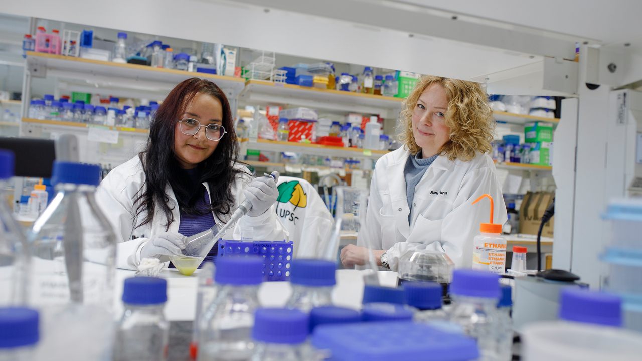 Åsa Strand,  professor vid Institutionen för fysiologisk botanik, och Poonam Bharti, postdoktor vid Institutionen för medicinsk kemi och biofysik