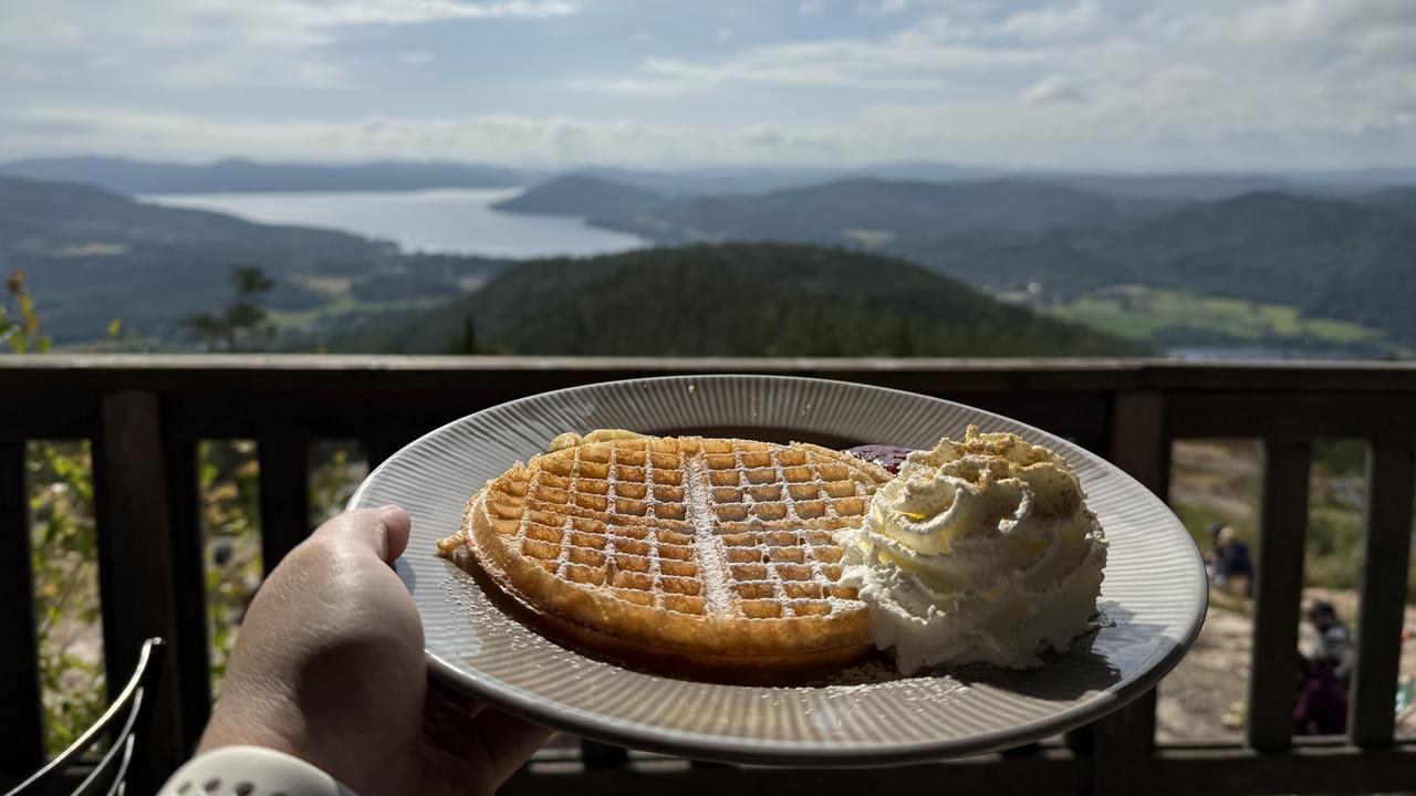 Hand som håller fram tallrik med våffla med Höga kusten landskap i bakgrunden.
