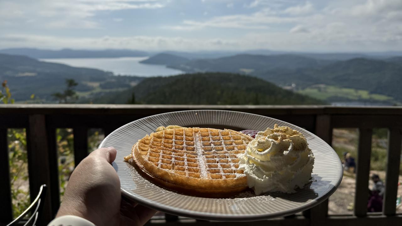 Hand holding a plate with a waffle, with the High Coast landscape in the background.