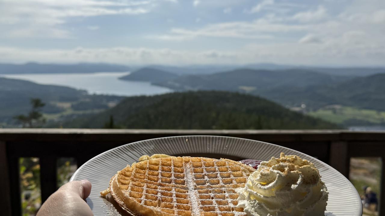 Hand som håller fram tallrik med våffla med Höga kusten landskap i bakgrunden.