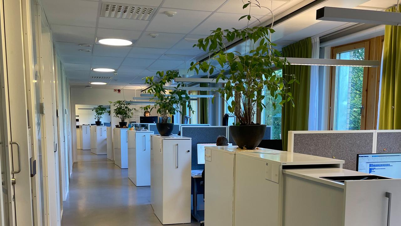 En lång korridor med en växt i mitten.